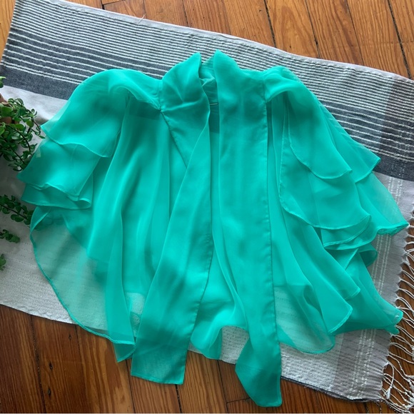 Vintage 1970s Full Length Gown With Sheer Capelet - Picture 11 of 12